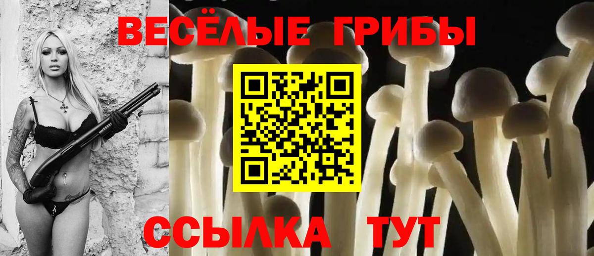 Зеленогорск  продажа наркотиков  Псилоцибиновые грибы мухоморы  Вход с VPN  Галлюциногенные грибы MAGIC MUSHROOMS 